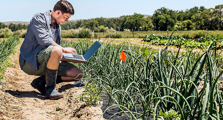 Side view of man crouching in vegetable garden using laptop computer